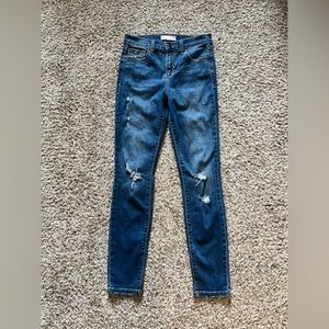 Harper Heritage Stretch Destructed Skinny Jean